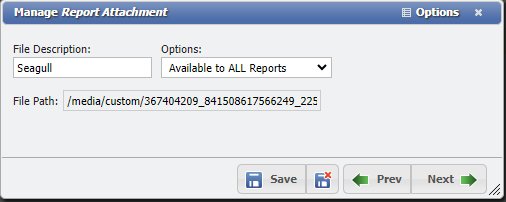 Manage Report Attachment form example