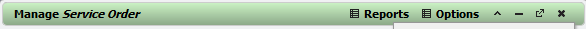 Example of modified Form Header styling