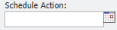 Scheduled Action field located on the Authorization Code Form