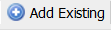 Add Existing button