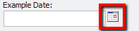 Example Date field