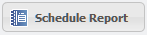 Schedule Report