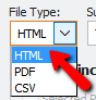 File Type